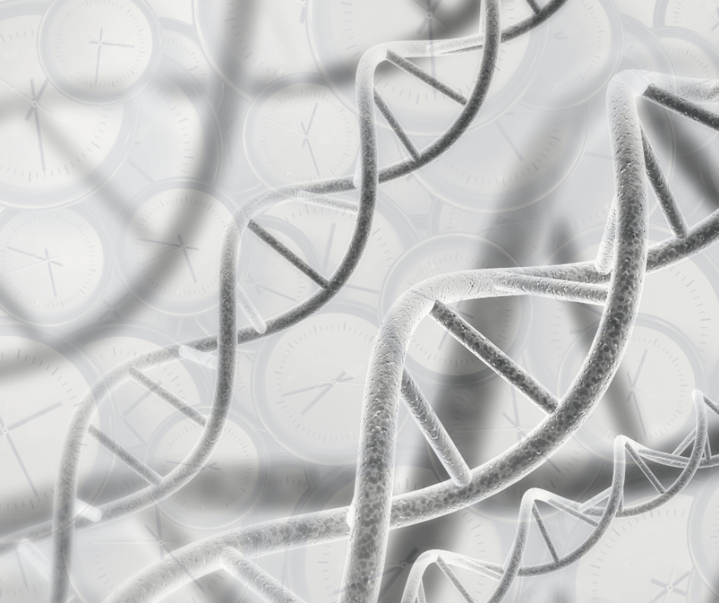 CIC nanoGUNE - Ancestral Enzymes for Genetic Engineering