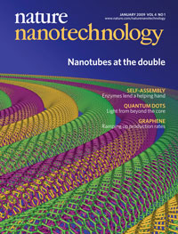 Nanooptics Group Nature Nanotechnology | CIC
