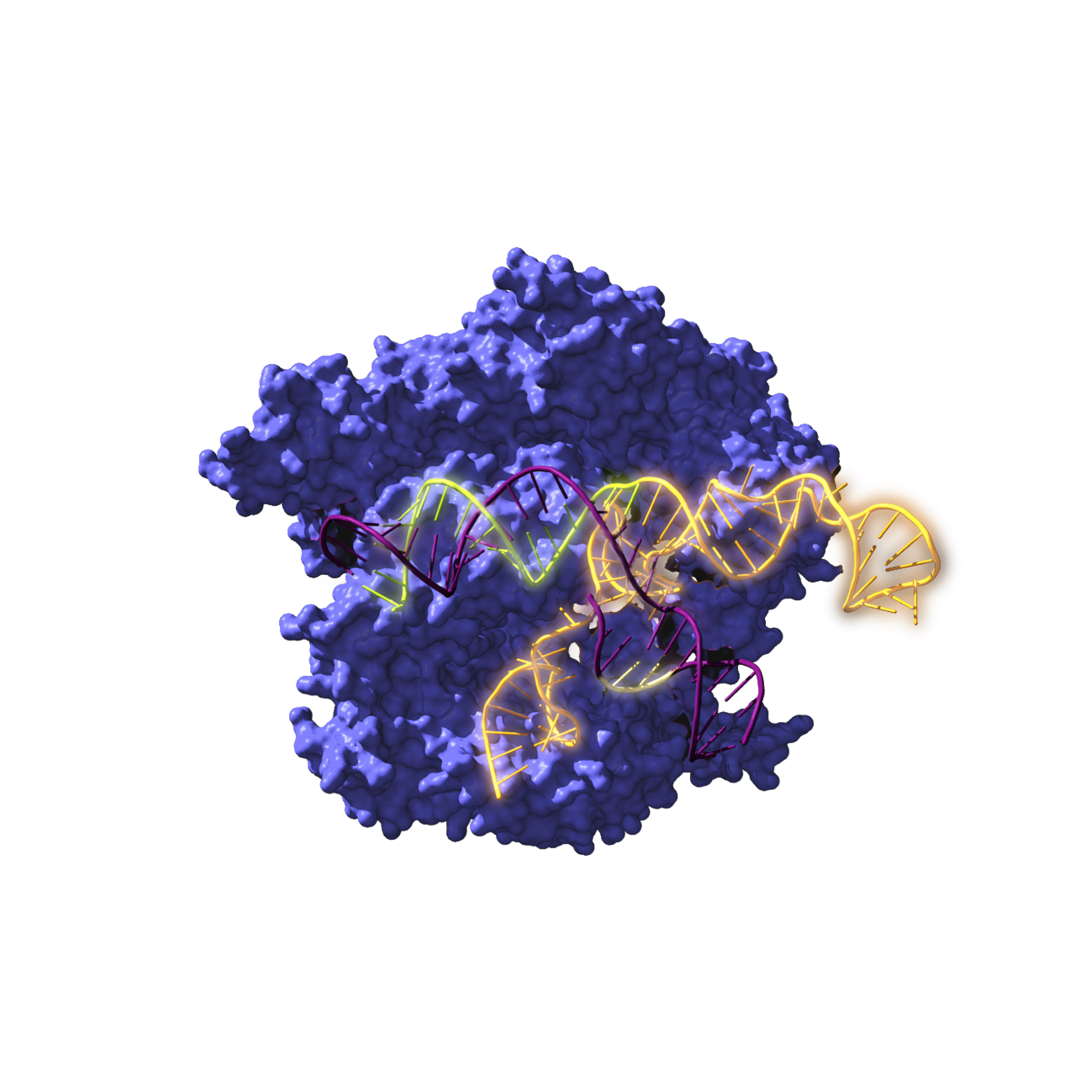 Image of Cas9, an endonuclease enzyme associated with the CRISPR system, acting on the target DNA. / Antonio Reifs (CIC nanoGUNE) Image of Cas9, an endonuclease enzyme associated with the CRISPR system, acting on the target DNA. / Antonio Reifs (CIC nanoGUNE)