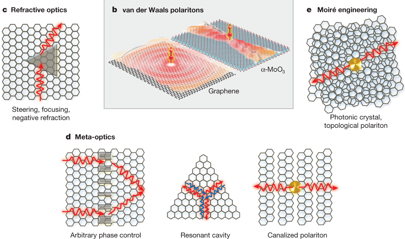 Review Article in Nature