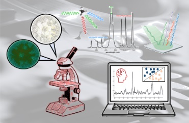 Illustration Alzheimer detection project