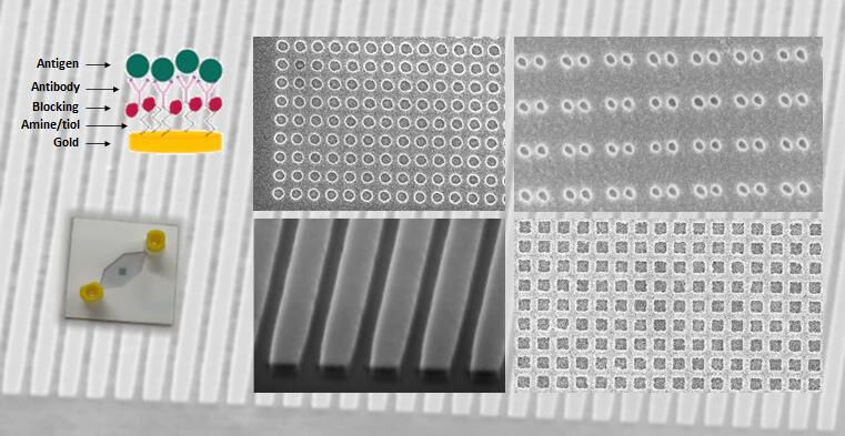 Illustration for Plasmonic detection of biomarkers project