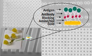 Plasmonic detection of biomarkers