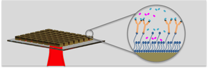 Plasmonic detection of biomarkers