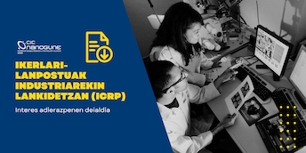 deskarga icrp eus