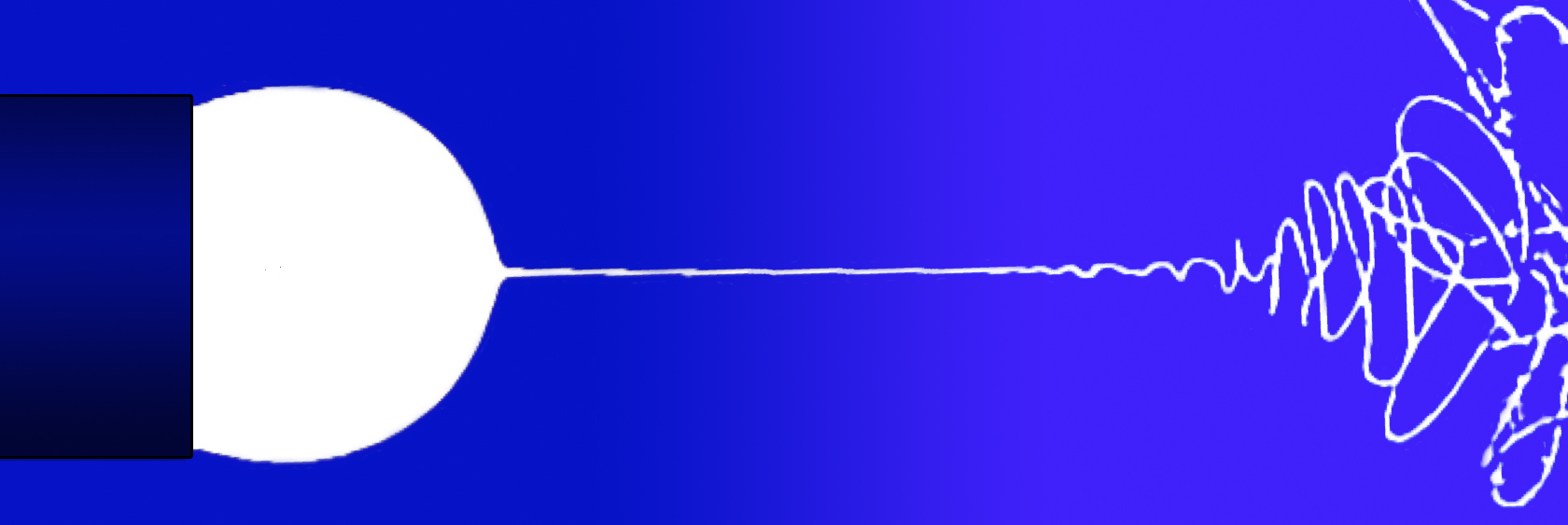 Electrospinning of proteins