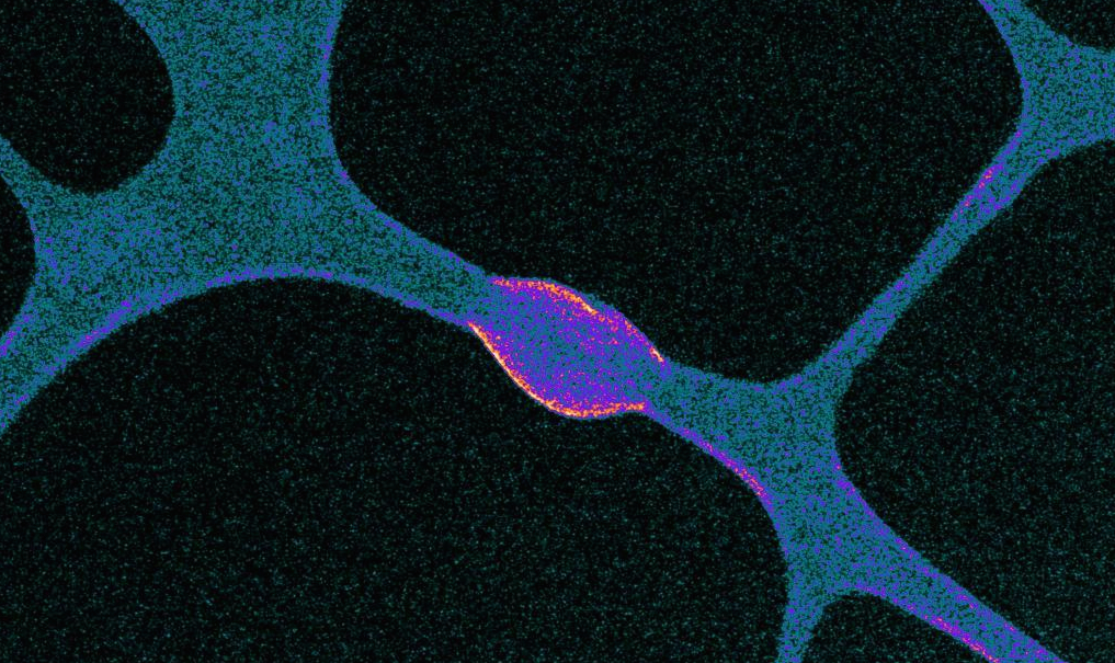 Wetting at the nanoscale