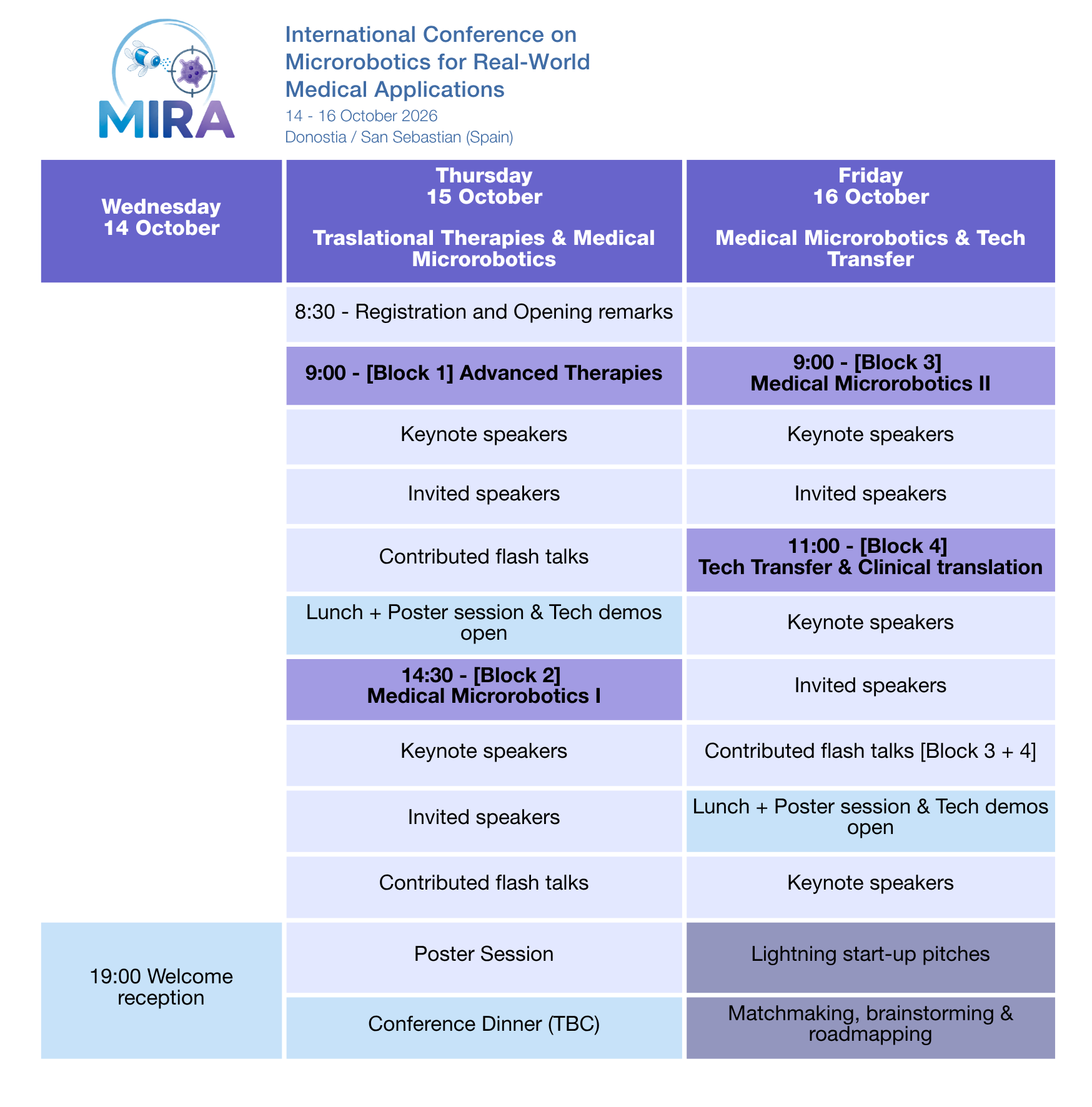 MIRa Conference program overview