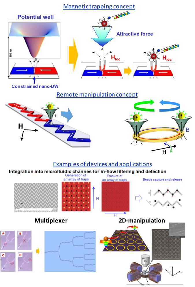 Graphic representation of the magnetic trapping and remote manipulation concept and examples of devices and applications