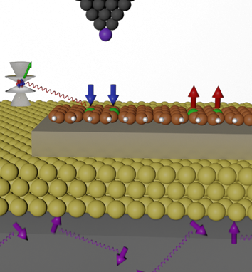 Schematic of a typical STM experiment in our group