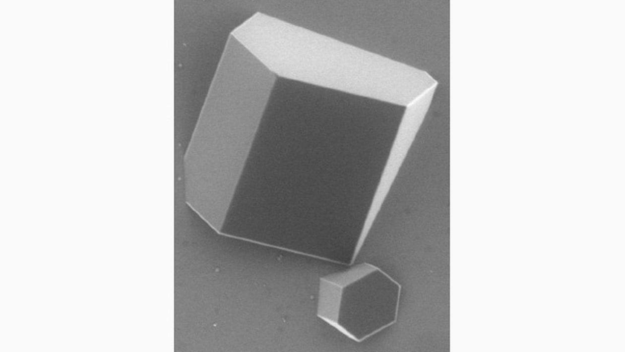 In situ electron microscopy