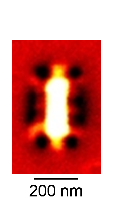 Near-field image of a rectangle graphene nanoresonator (Image: nanoGUNE) Near-field image of a rectangle graphene nanoresonator (Image: nanoGUNE)