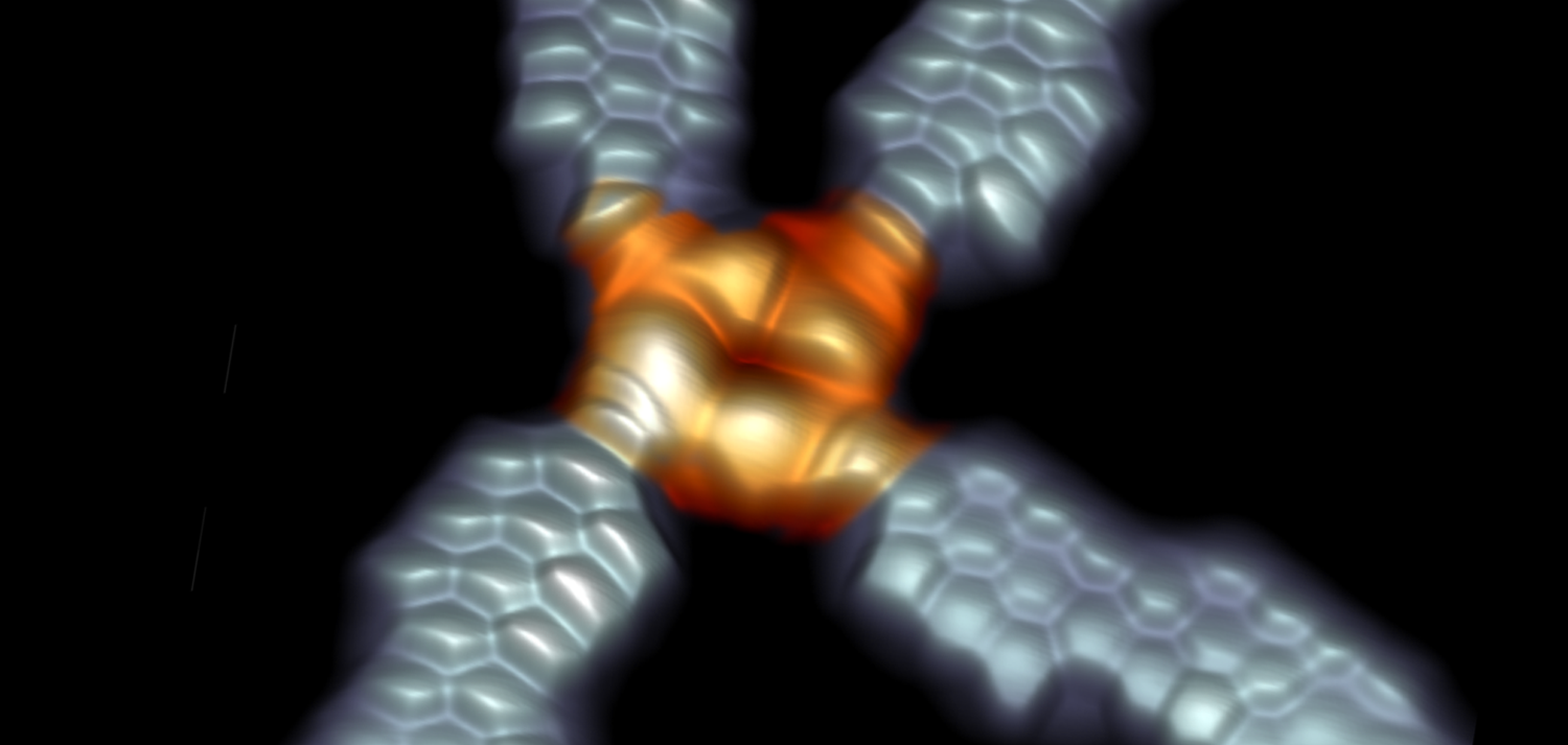 Imagen del nuevo dispositivo molecular y sus conexiones a través de tiras de grafeno, obtenida mediante Microscopía de Efecto Túnel (STM). / nanoGUNE.