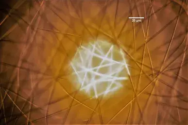 A future alternative for companies in the textile sector A future alternative for companies in the textile sector