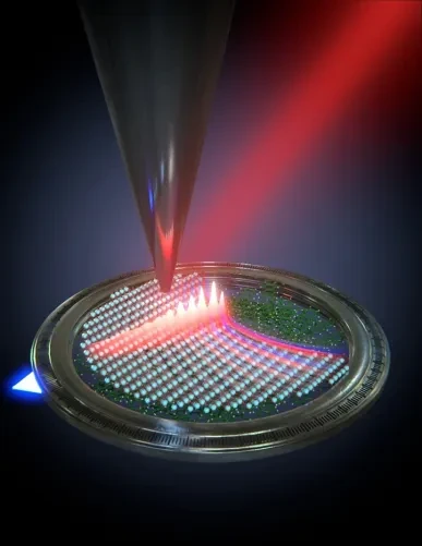 The two-dimensional material MoO3 serves as a platform for studying the interaction between nanolight and the characteristic vibrations of molecules. Its directional behavior allows this interaction to be more or less intense depending on direction, representing a breakthrough for chemical detection and manipulation at the nanometric scale. Image: Scixel. Nature Photonics