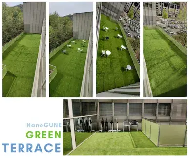 Terrace rules_2