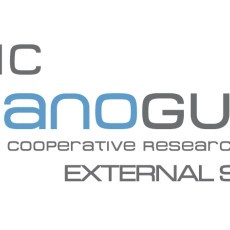 External Service logo imaginenano
