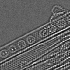 Metalofullerenes inside SWNT