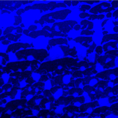 Environmental electron micrograph of water nanopuddles
