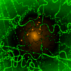 Electrospinning of proteins