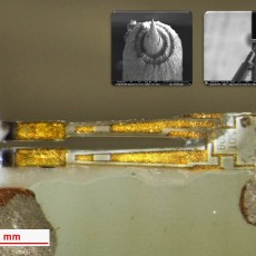 A Tunning Forkfor STM/AFM measurements