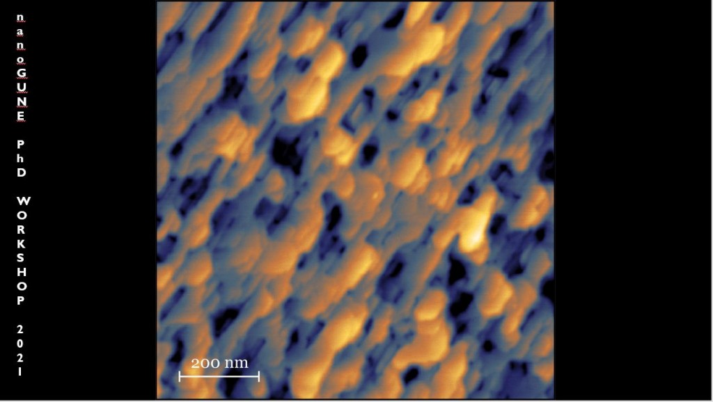Silver surface with anisotropic roughness