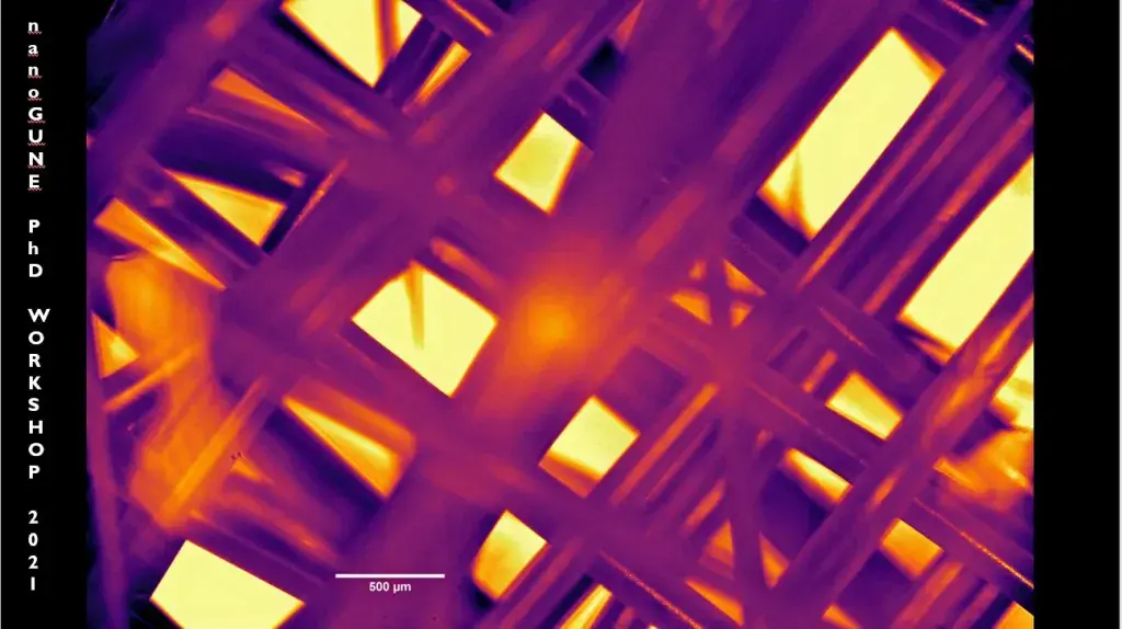 CIC biomaGUNE scaffold fabrication multiphase