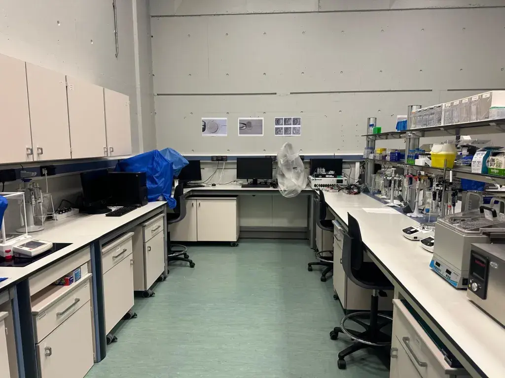 Lab