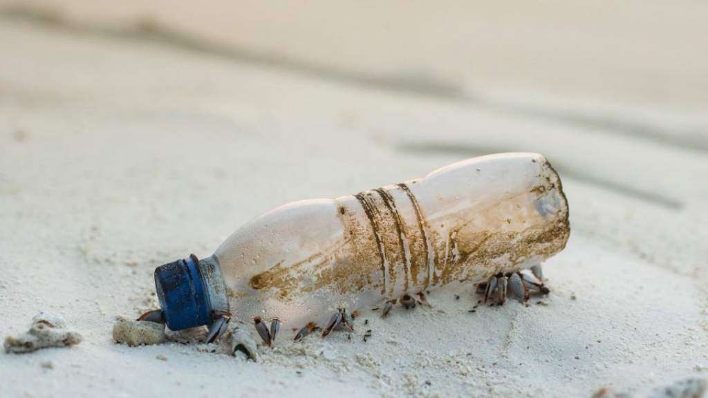 Bilgarri biodegradagarriak plastikoen ordez