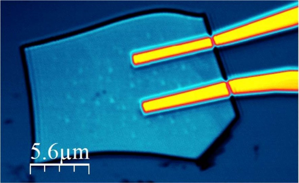 Confocal image of a Molibdenum Disulfide Nanodevice