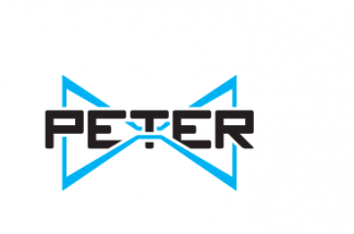 PETER-Plasmon Enhanced Terahertz Electron Paramagnetic Resonance