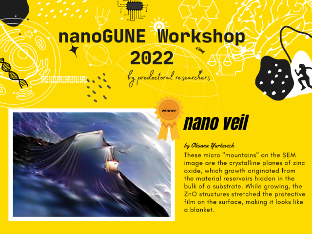 nanoGUNE Workshop photo contest winner picture has been the image "nano veil" by PhD student Oksana Yurkevich