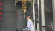 Nature Sensors