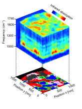 A new dimension in chemical nanoimaging