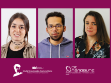 Marie Sklodowska Curie Fellowship Programs