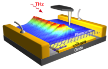 Los plasmones de terahercios se propagan a lo largo una lámina de grafeno con longitudes de onda extremadamente cortas, tal y como se visualiza en las imágenes de fotocorriente obtenidas por microscopia de sonda de barrido.