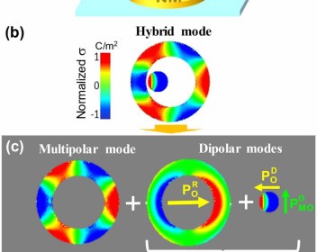 Figure 18 of the 2022 magneto-optics roadmap