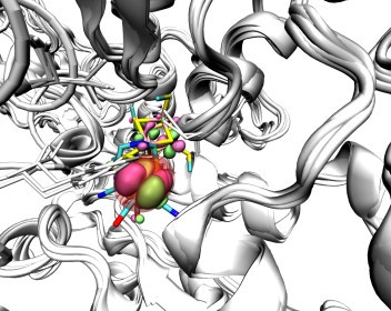 New step towards clean energy production from enzymes