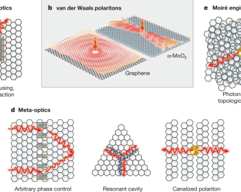 Review Article in Nature