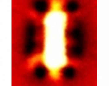 Near-field image of a rectangle graphene nanoresonator (Image: nanoGUNE)