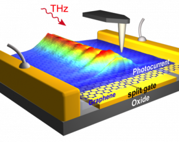 THz plasmons of extremely short wavelength propagate along the graphene sheet of a THz detector, as visualized with photocurrent images obtained by scanning probe microscopy.
