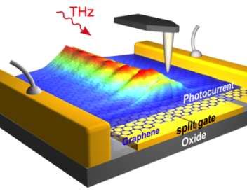 Los plasmones de terahercios se propagan a lo largo una lámina de grafeno con longitudes de onda extremadamente cortas, tal y como se visualiza en las imágenes de fotocorriente obtenidas por microscopia de sonda de barrido.