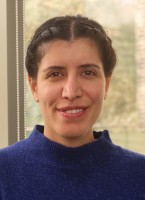 Sara Shahbazi Fashtali