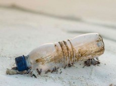 Bilgarri biodegradagarriak plastikoen ordez