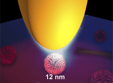 Scattering-type near-field microscope (NeaSpec)