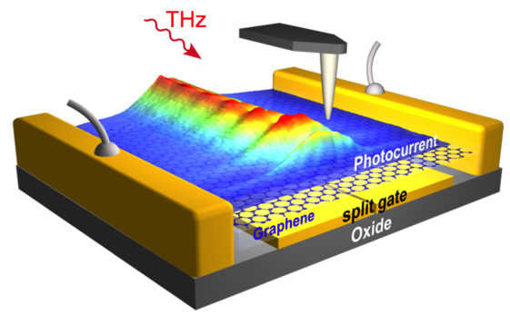 THz plasmons of extremely short wavelength propagate along the graphene sheet of a THz detector, as visualized with photocurrent images obtained by scanning probe microscopy. THz plasmons of extremely short wavelength propagate along the graphene sheet of a THz detector, as visualized with photocurrent images obtained by scanning probe microscopy.