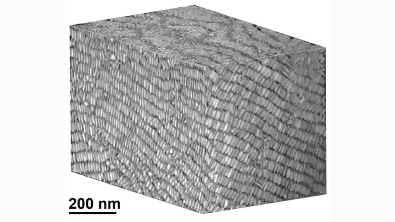 Micro/Nano Tomography, 3D electron microscopy