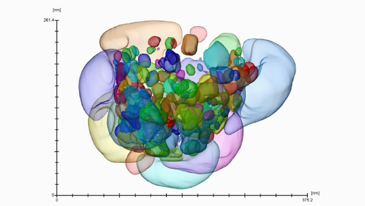 Micro/Nano Tomography, 3D electron microscopy